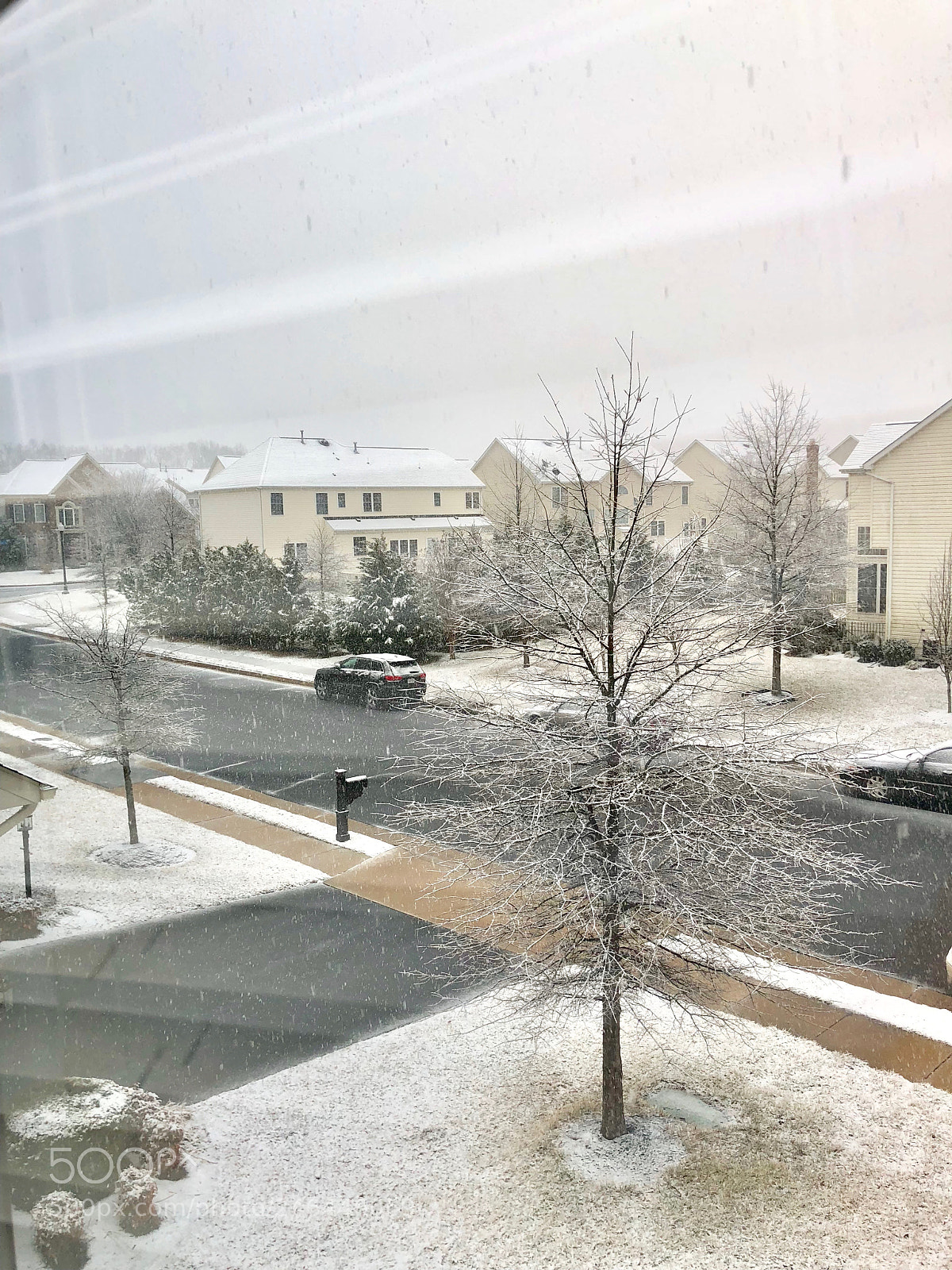 Apple iPhone X sample photo. Untitled photography