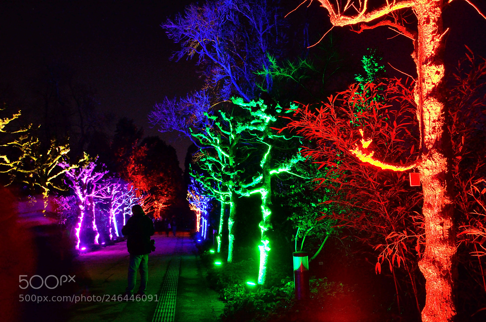Nikon D5100 sample photo. Alley of colours photography