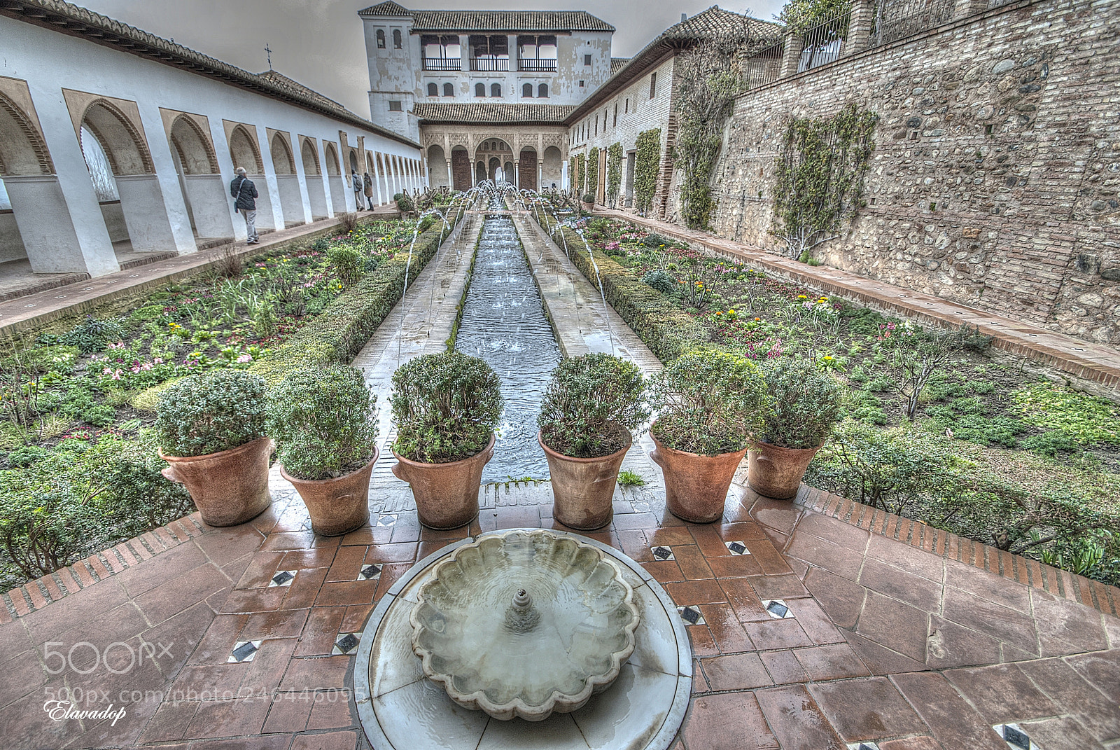 Nikon D3000 sample photo. Granada (generalife) photography