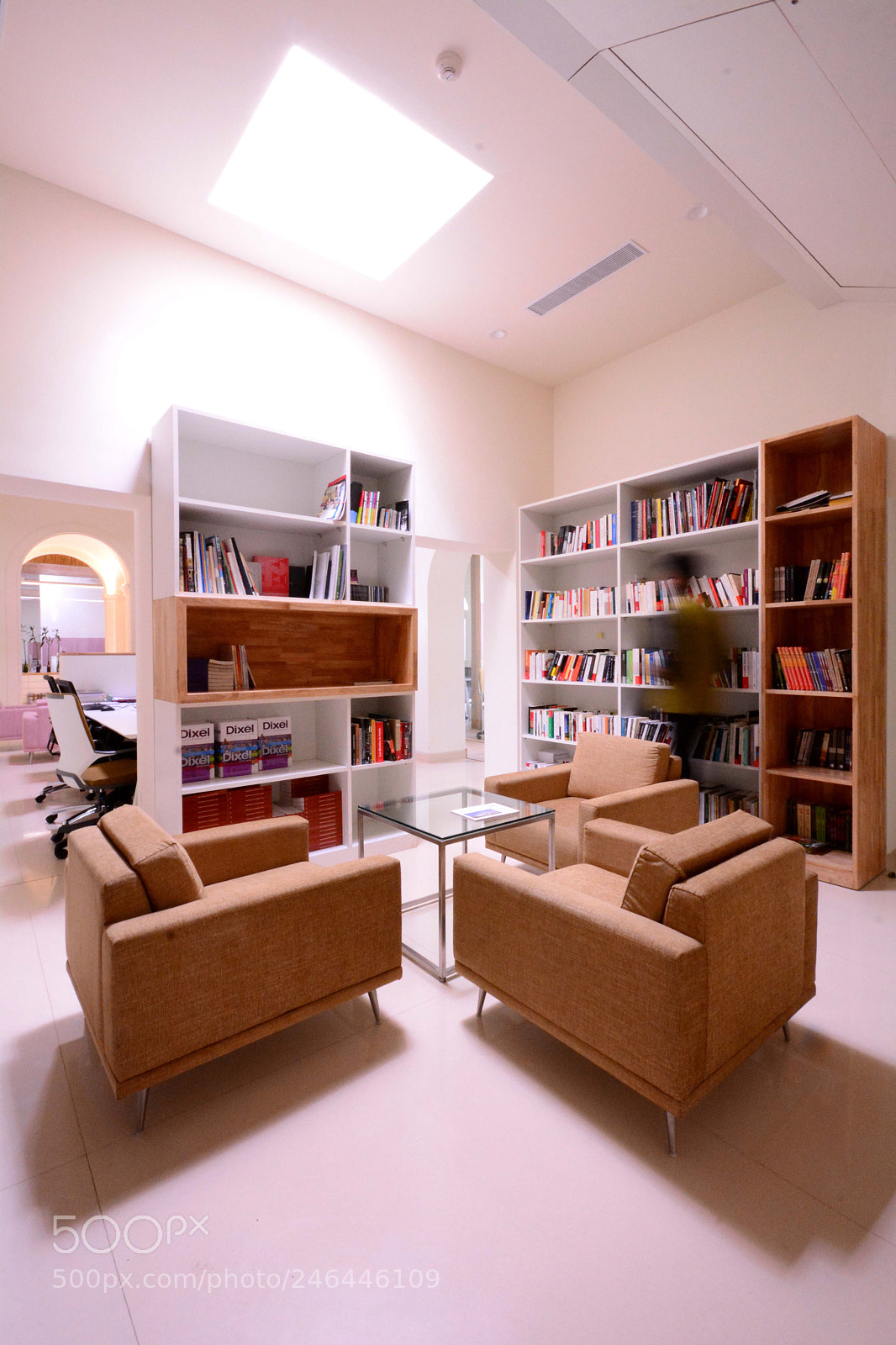 Nikon D5200 sample photo. Interior of institut francais photography