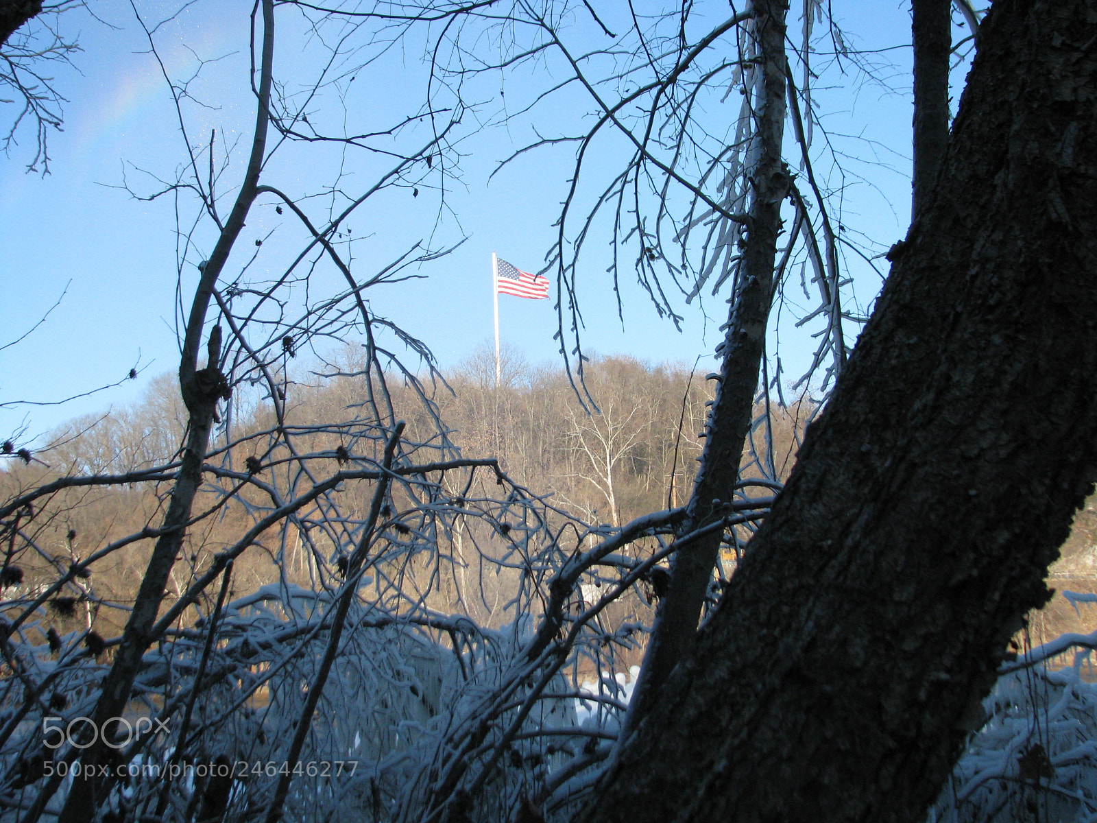 Canon POWERSHOT S5 IS sample photo. Moss pictures photography