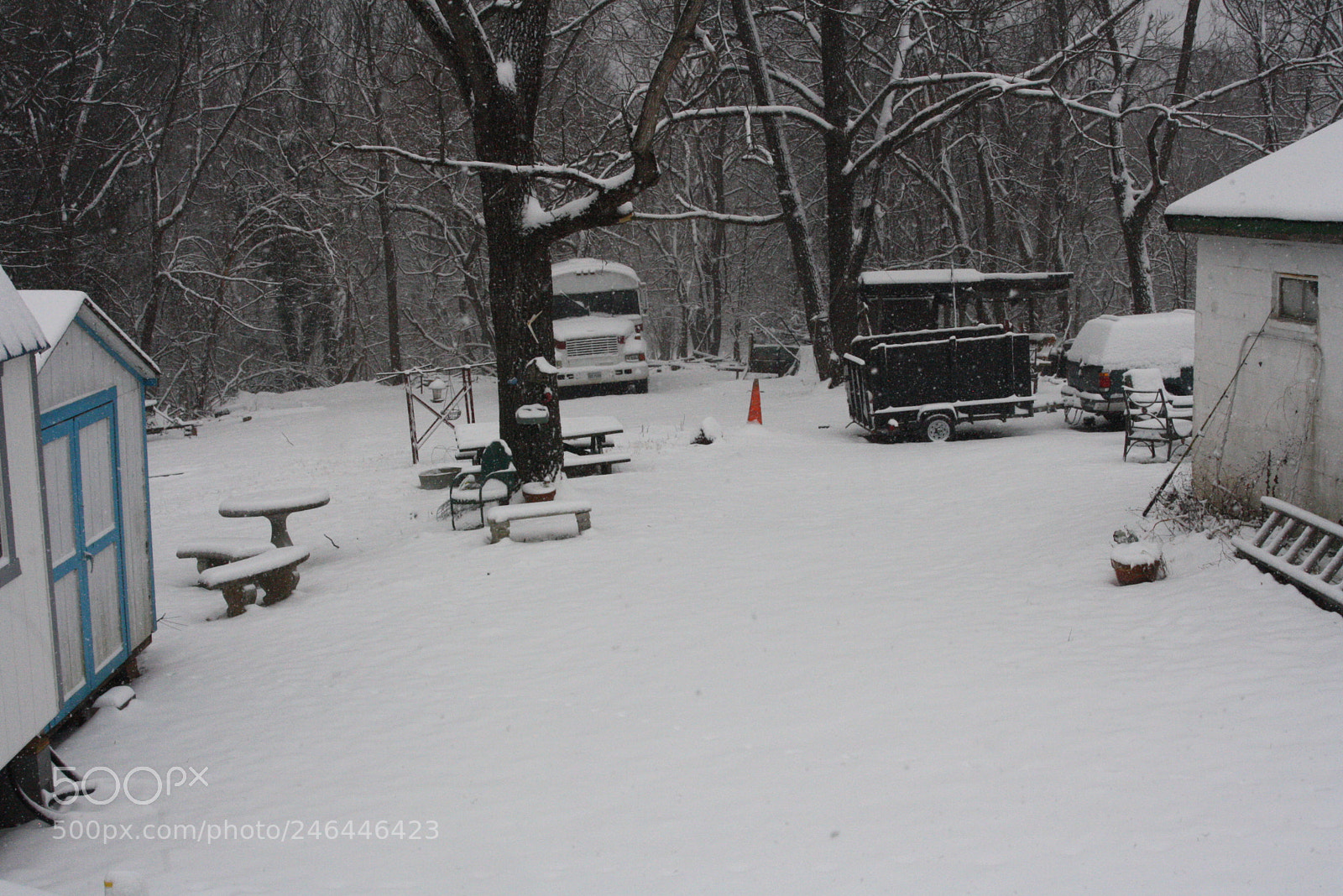Canon EOS 1000D (EOS Digital Rebel XS / EOS Kiss F) sample photo. New camera snow photography