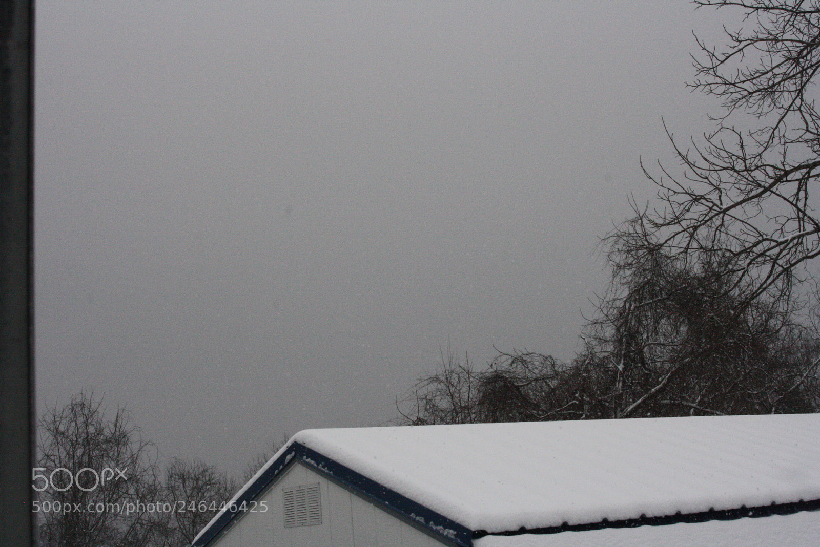 Canon EOS 1000D (EOS Digital Rebel XS / EOS Kiss F) sample photo. New camera snow photography