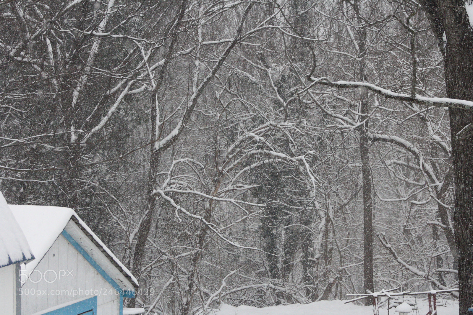 Canon EOS 1000D (EOS Digital Rebel XS / EOS Kiss F) sample photo. New camera snow photography