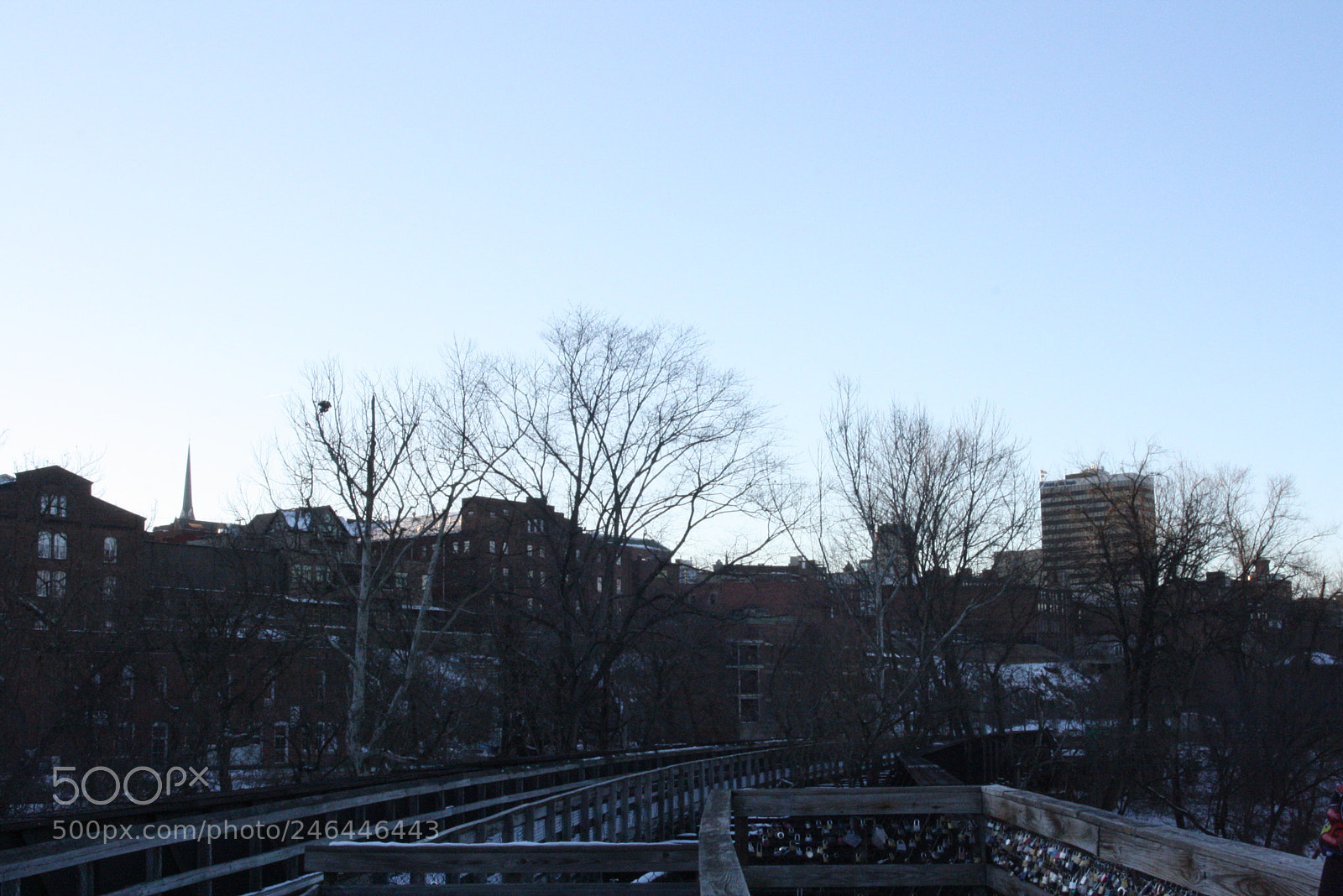 Canon EOS 1000D (EOS Digital Rebel XS / EOS Kiss F) sample photo. New camera snow photography