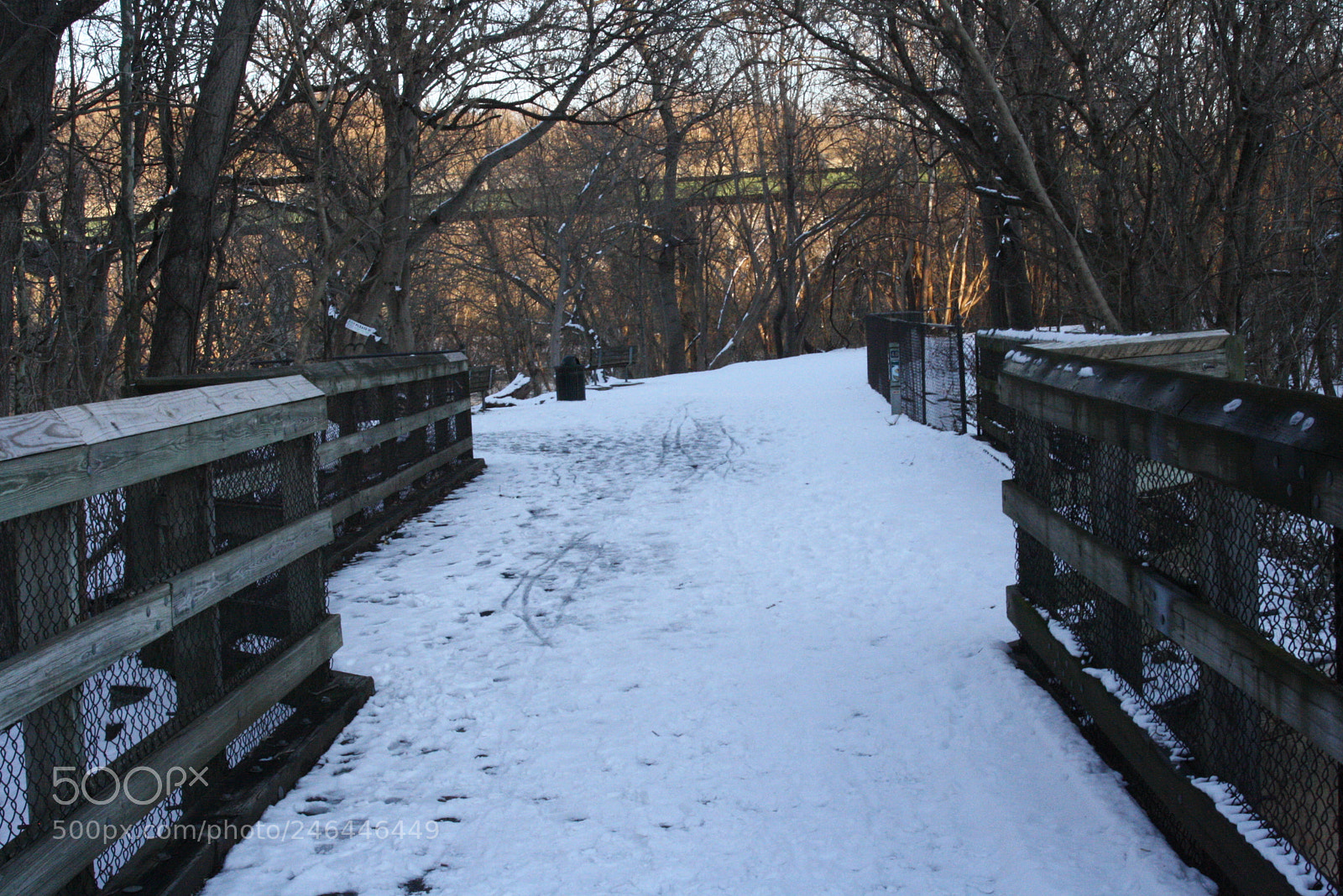 Canon EOS 1000D (EOS Digital Rebel XS / EOS Kiss F) sample photo. New camera snow photography