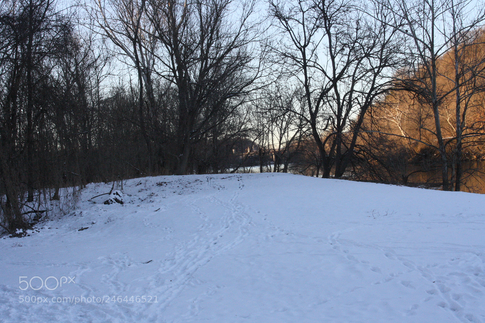 Canon EOS 1000D (EOS Digital Rebel XS / EOS Kiss F) sample photo. New camera snow photography