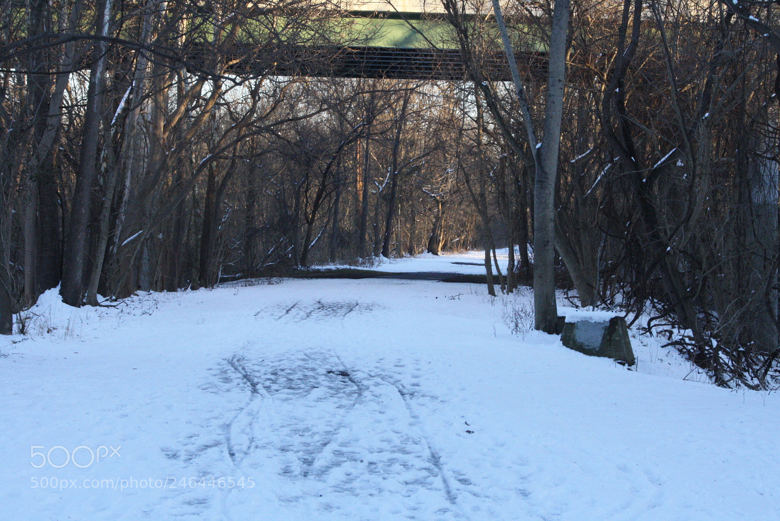 Canon EOS 1000D (EOS Digital Rebel XS / EOS Kiss F) sample photo. New camera snow photography