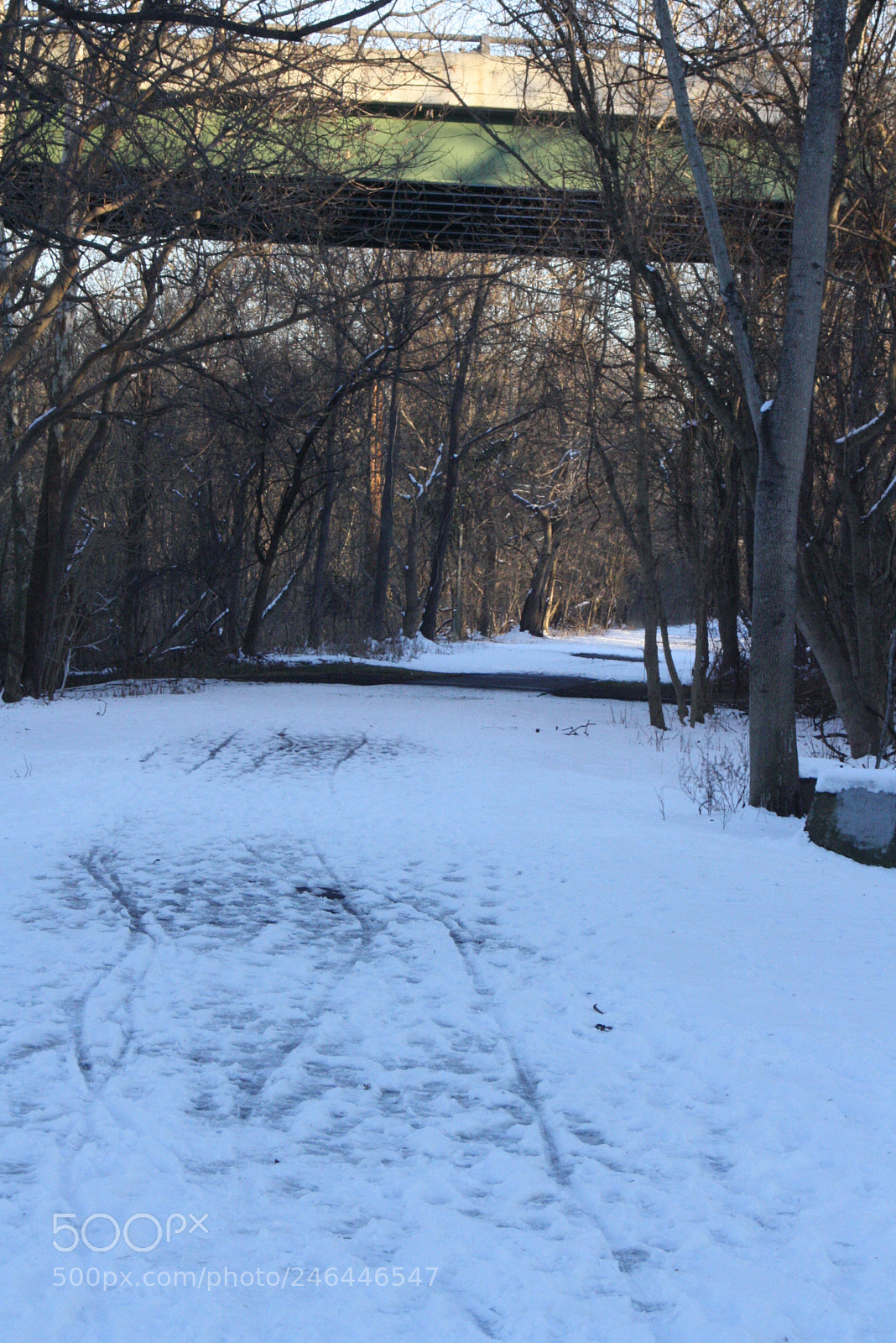 Canon EOS 1000D (EOS Digital Rebel XS / EOS Kiss F) sample photo. New camera snow photography