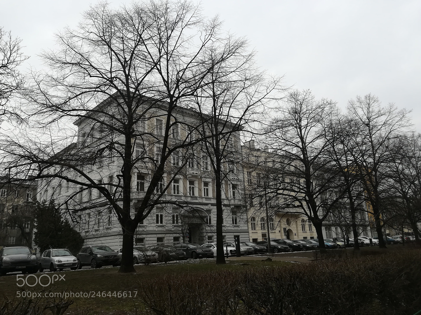 HUAWEI PRA-LX1 sample photo. Untitled photography