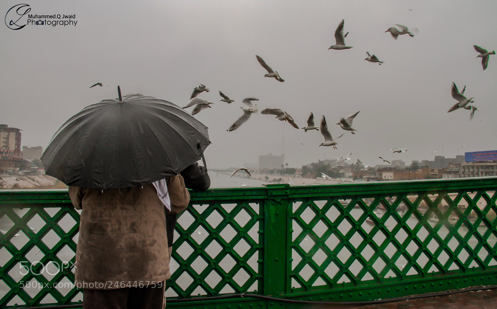 Canon EOS 7D sample photo. Stay tuned photography