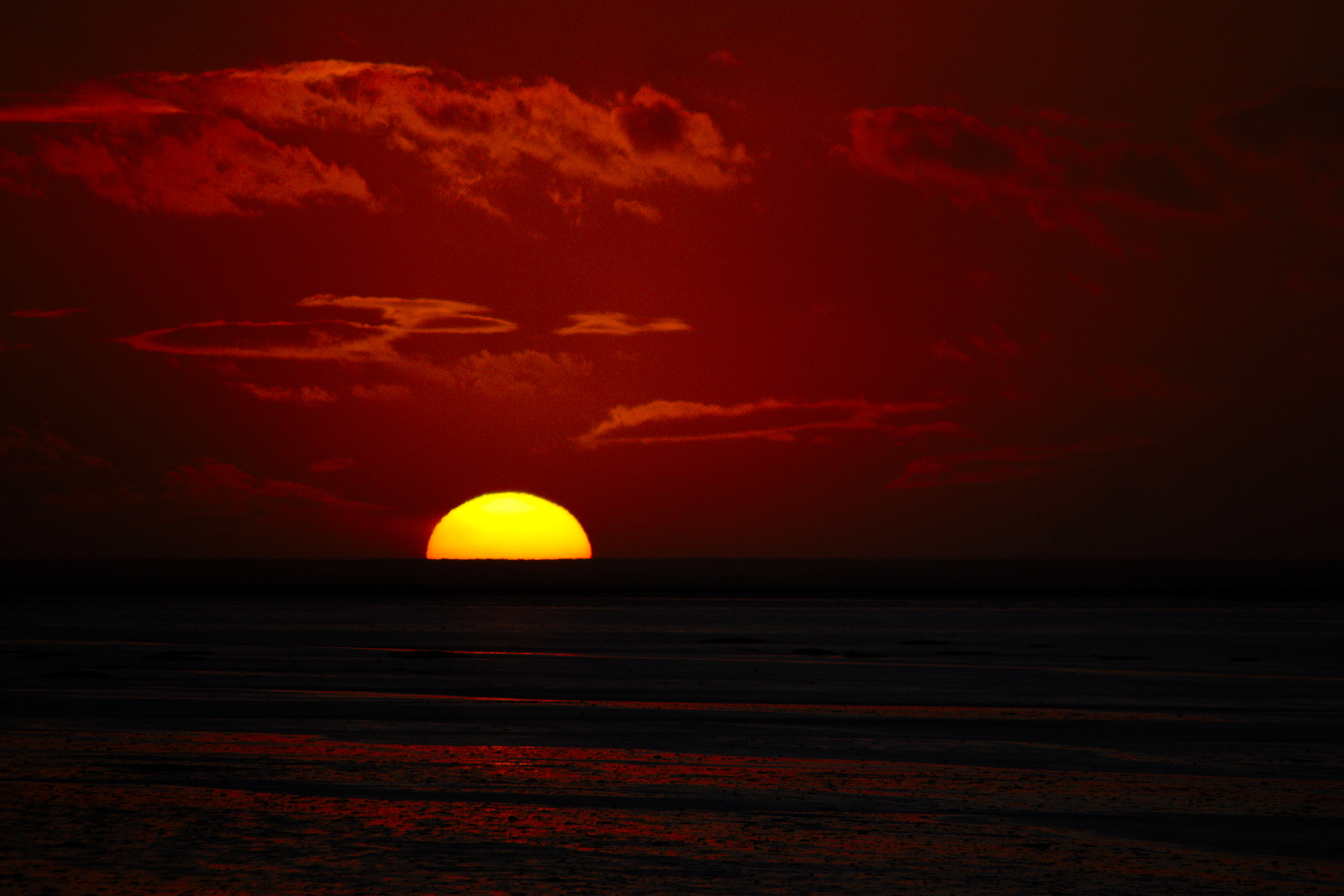 Canon EF-S 55-250mm F4-5.6 IS II sample photo. ... photography