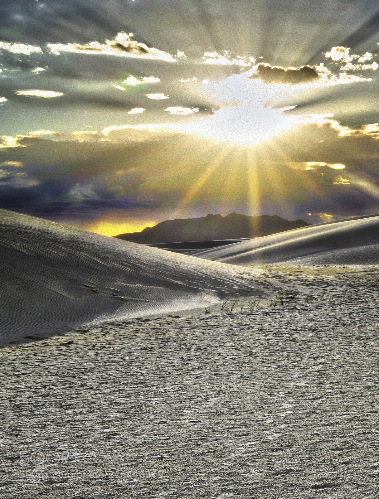 Sony a7R II sample photo. Alkali flat trail photography
