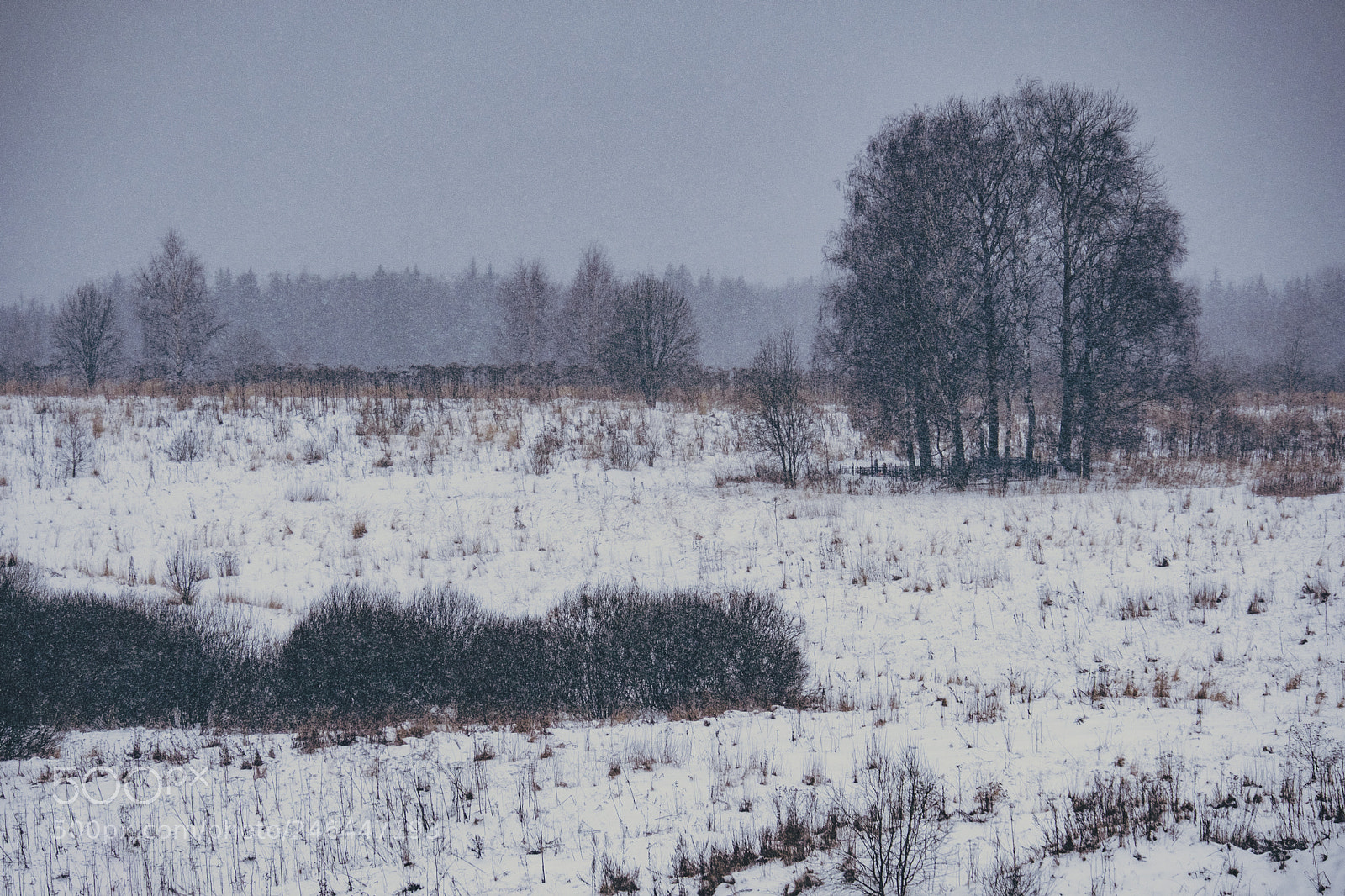 Fujifilm X-T20 sample photo. Blizzard ... photography