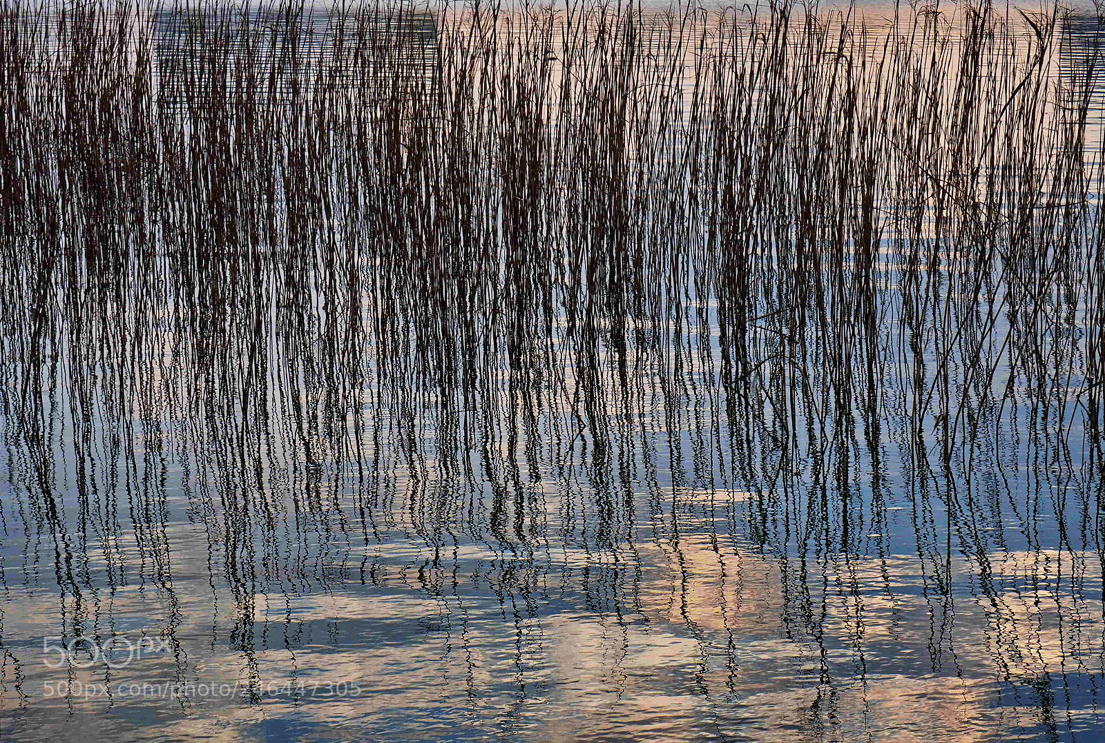 Olympus OM-D E-M10 II sample photo. Reflections photography