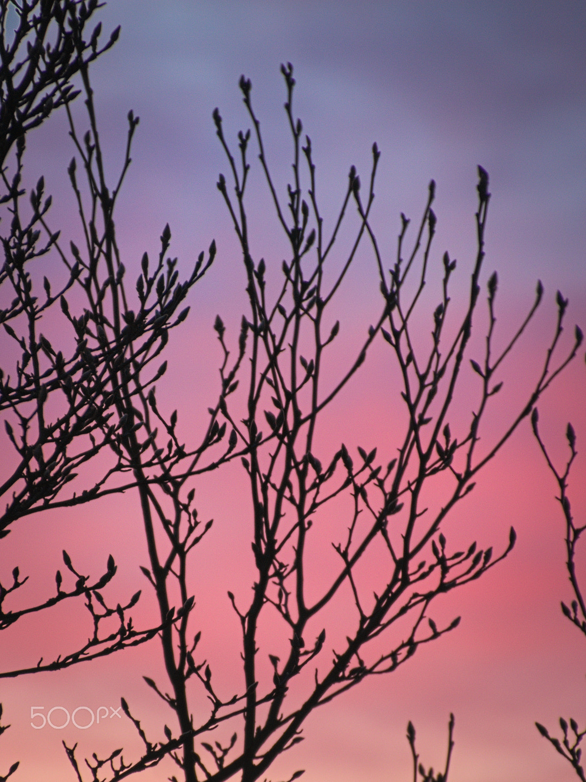 Canon EOS 650D (EOS Rebel T4i / EOS Kiss X6i) sample photo. Sunset photography