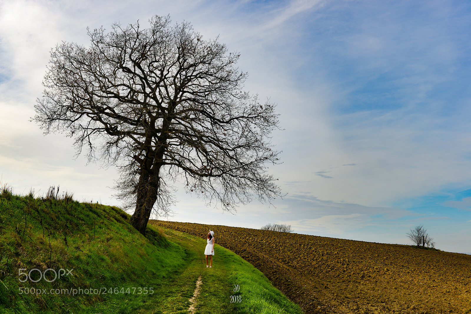 Nikon D800 sample photo. Charlie en nature photography