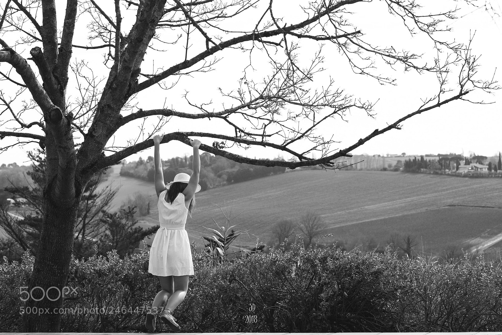 Nikon D800 sample photo. Charlie photography