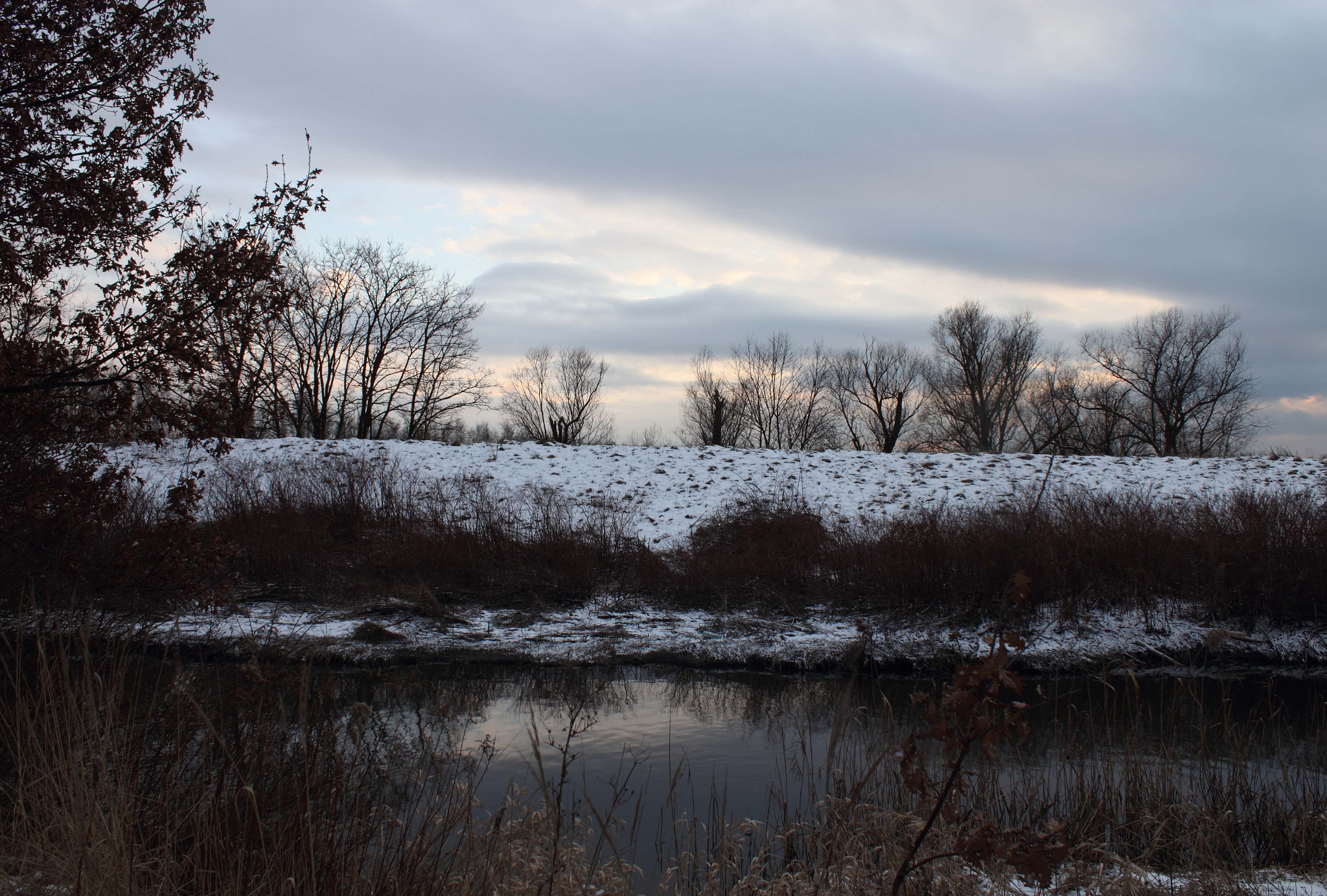 Canon EOS 550D (EOS Rebel T2i / EOS Kiss X4) + Canon EF-S 18-55mm F3.5-5.6 IS sample photo. Looking for ponds photography