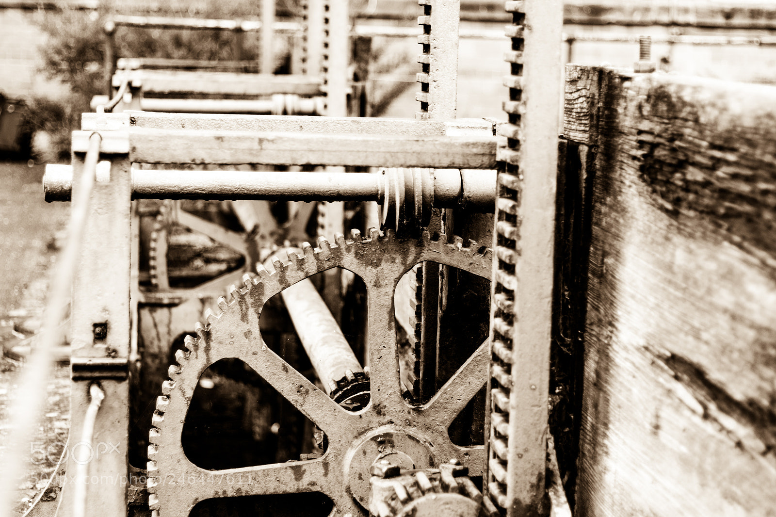 Canon EOS 77D (EOS 9000D / EOS 770D) sample photo. Crushed by the wheels photography