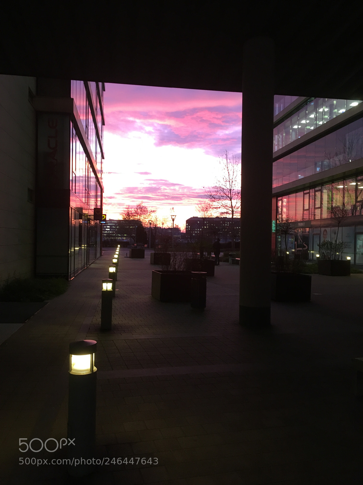 Apple iPhone SE sample photo. Sunset photography
