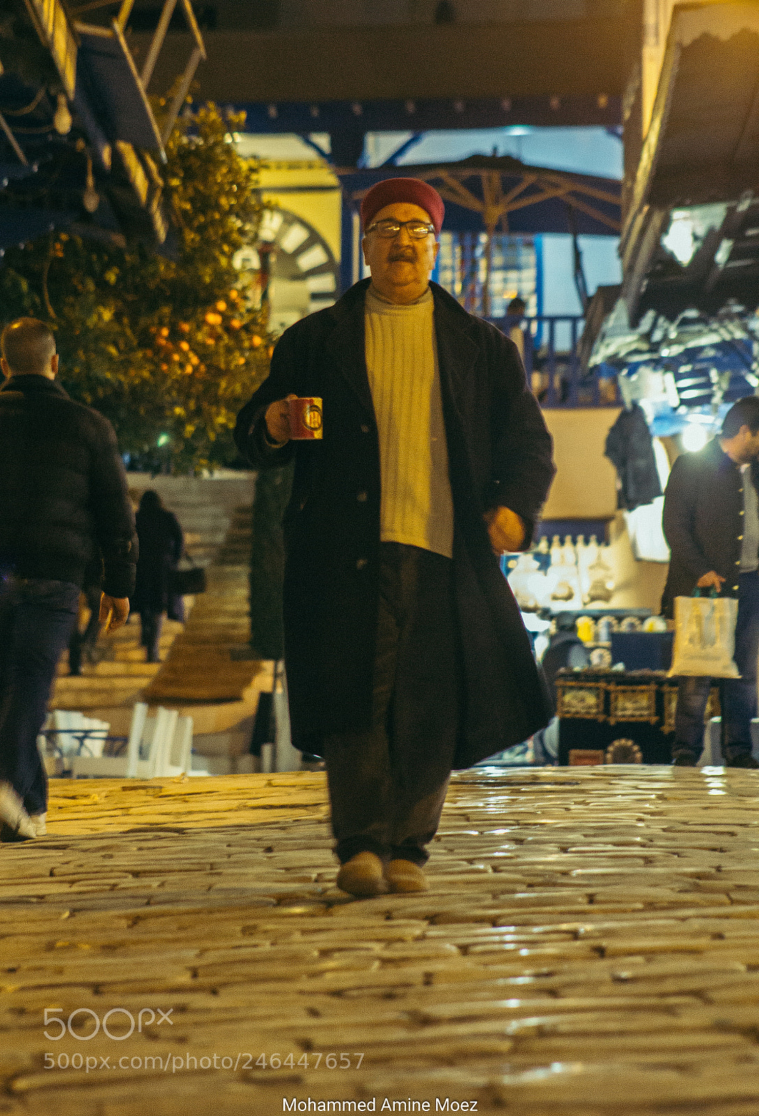 Canon EOS 60D sample photo. " standing tall i walk " photography