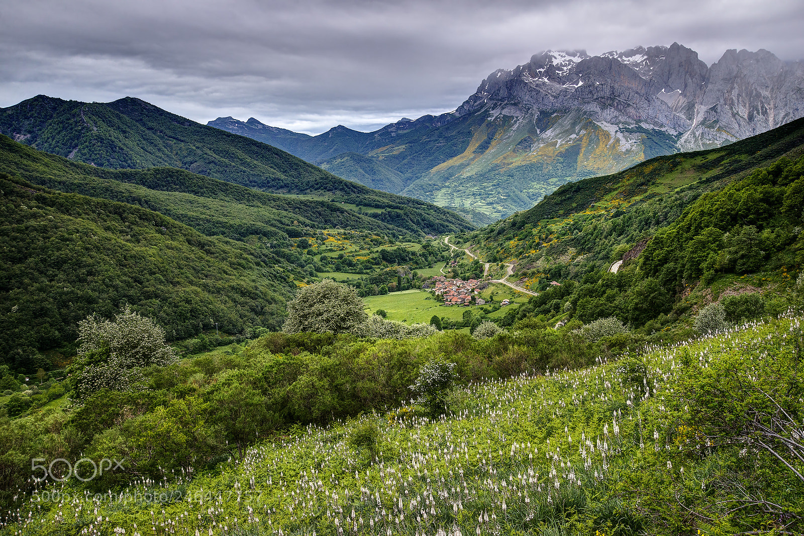 Nikon D610 sample photo. Village and mountains on photography