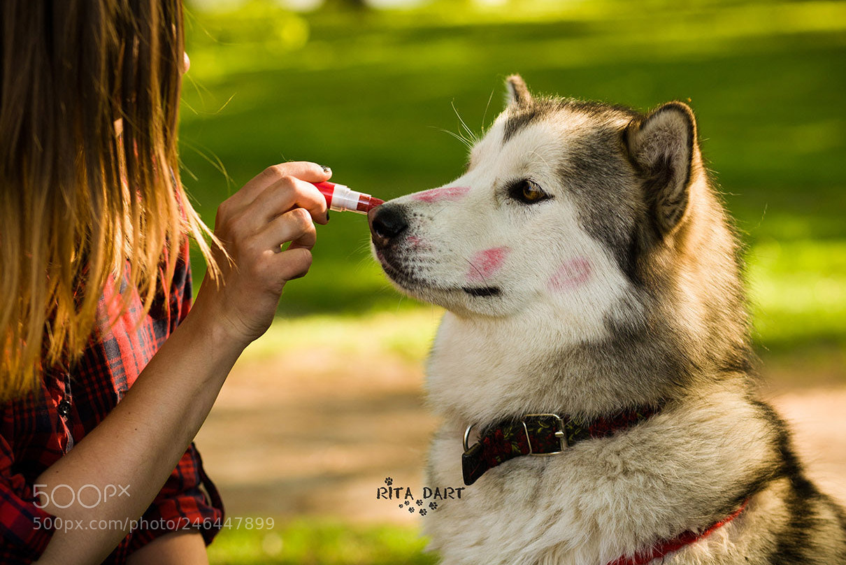 Canon EOS 5D sample photo. Cute dog & lipstick photography