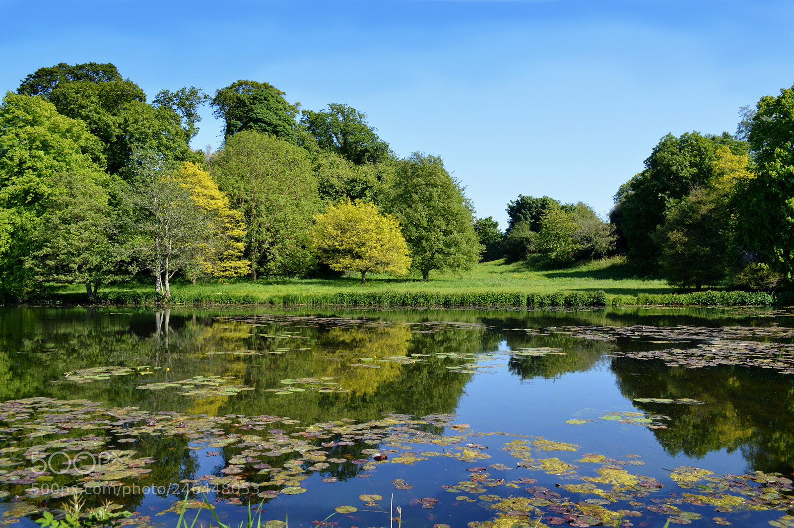 Nikon D3200 sample photo. Summer days photography