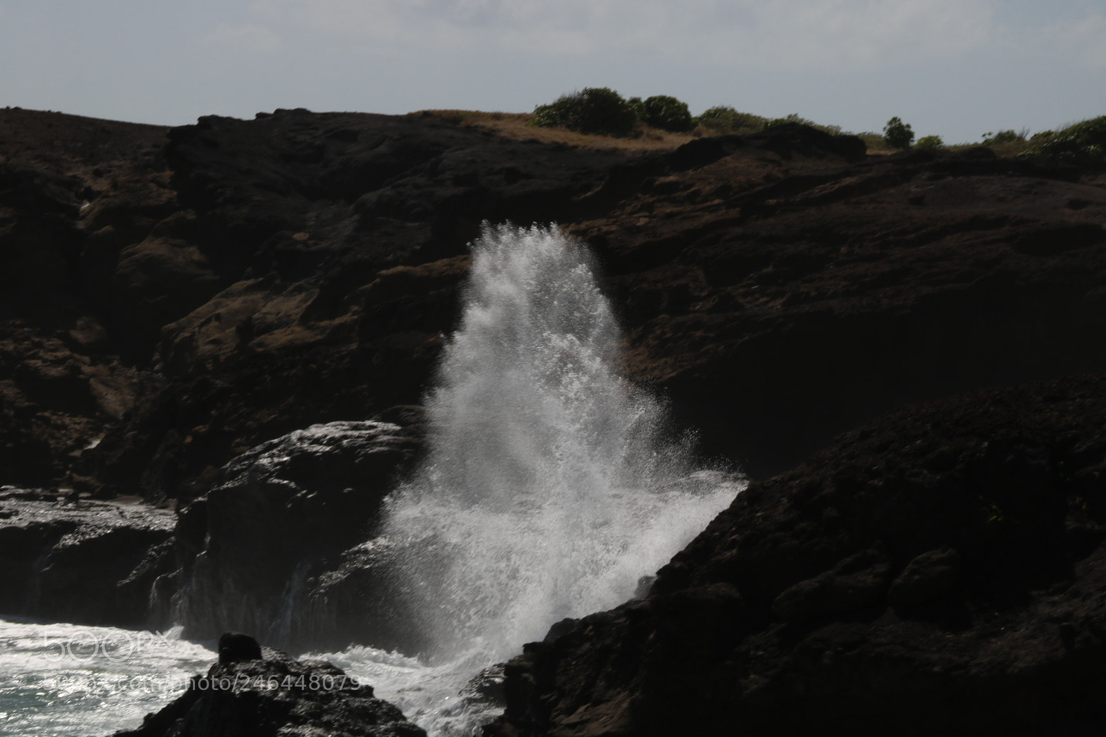 Canon EOS 750D (EOS Rebel T6i / EOS Kiss X8i) sample photo. Untitled photography