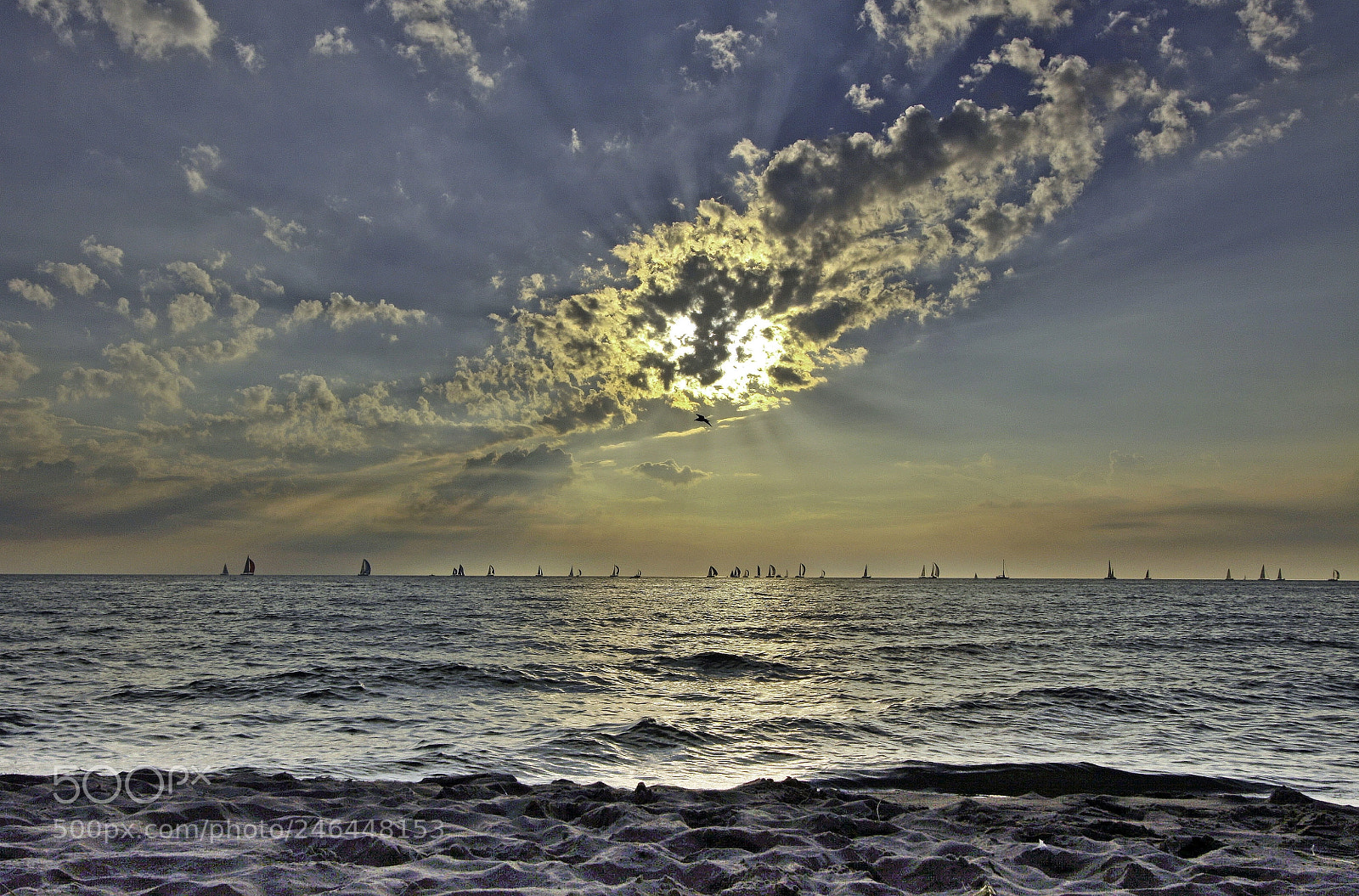 Canon EOS 50D sample photo. Sail boat race photography