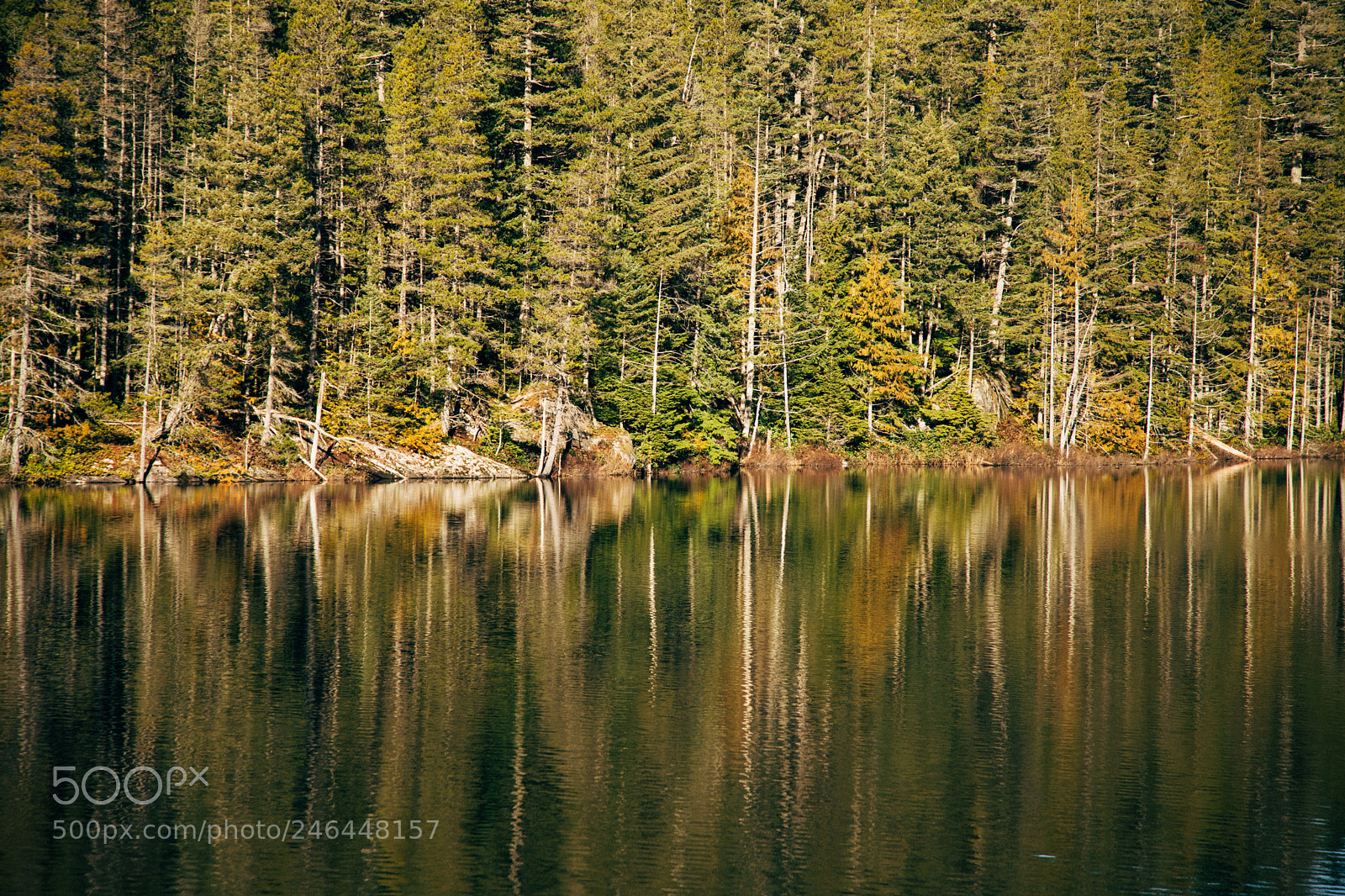 Canon EOS 6D Mark II sample photo. Brohm lake photography