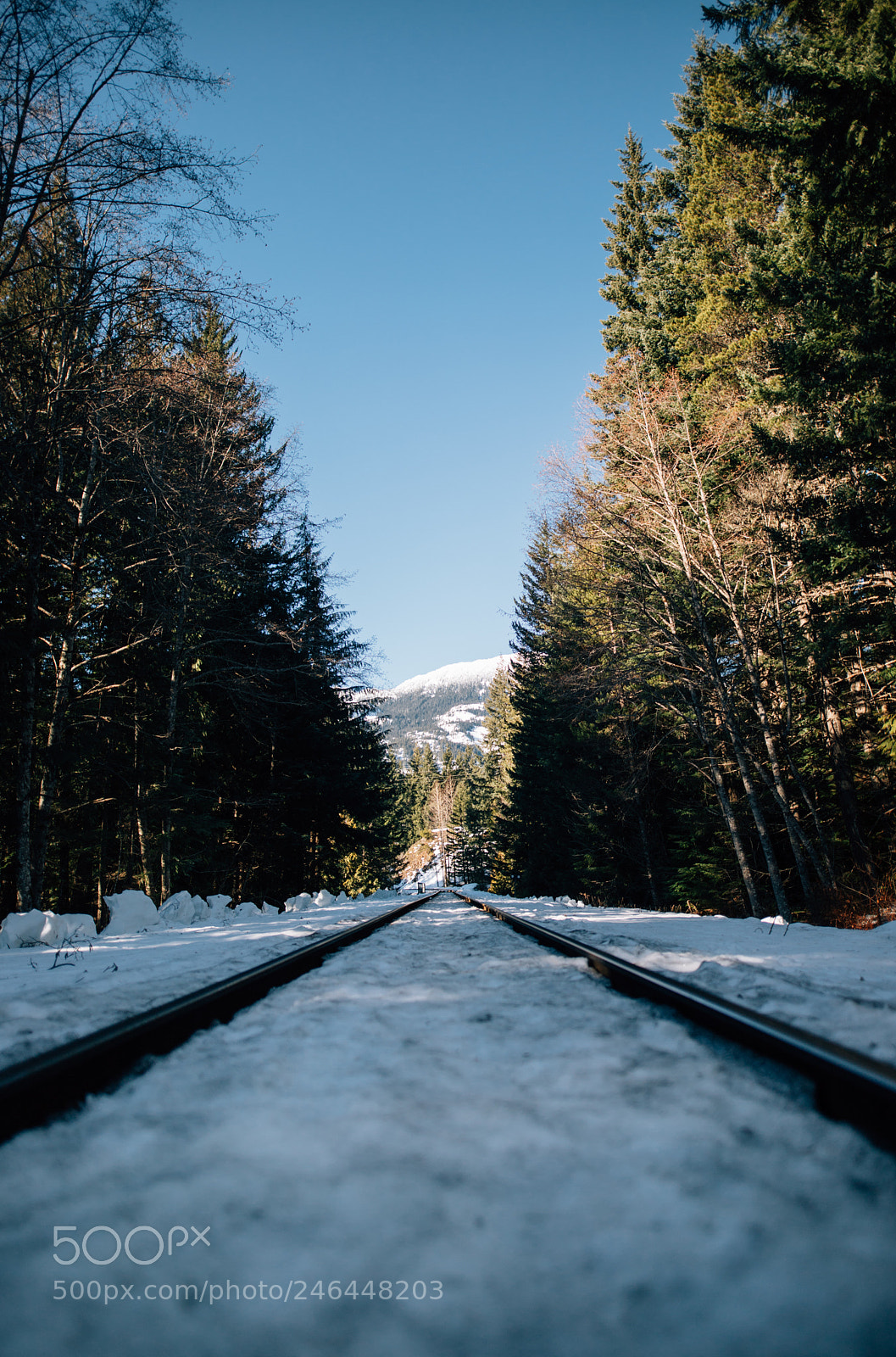 Canon EOS 6D Mark II sample photo. Tracks in the snow photography