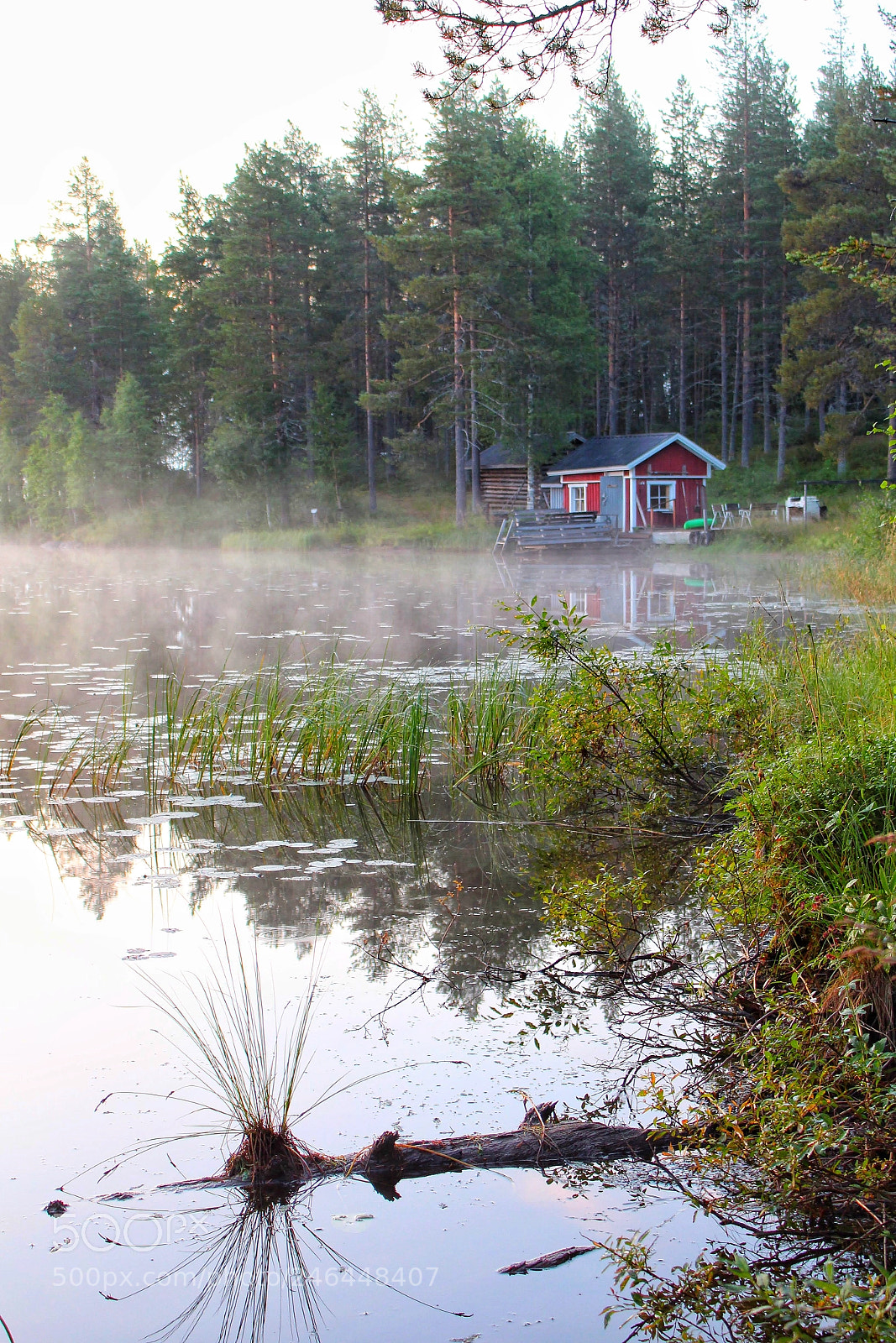 Canon EOS 700D (EOS Rebel T5i / EOS Kiss X7i) sample photo. Oh,missing summer so much photography