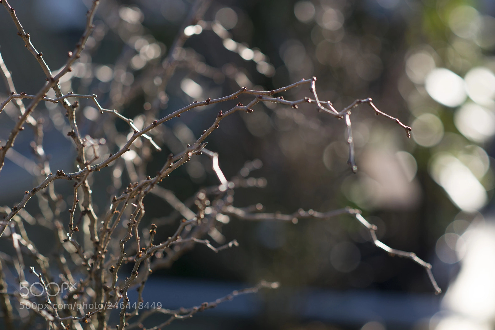 Nikon D610 sample photo. Dreamscapes photography