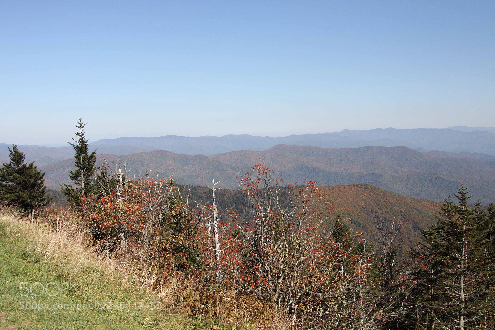 Canon EOS 50D sample photo. Great smoky mountains photography