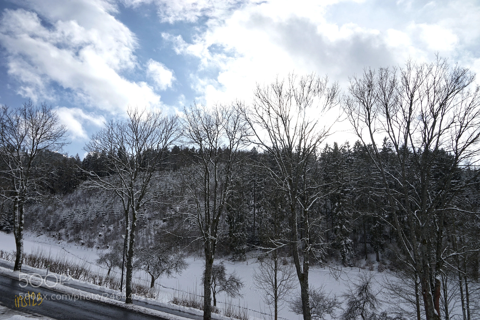 Sony a7 II sample photo. Cold winterday/ kalter wintertag photography