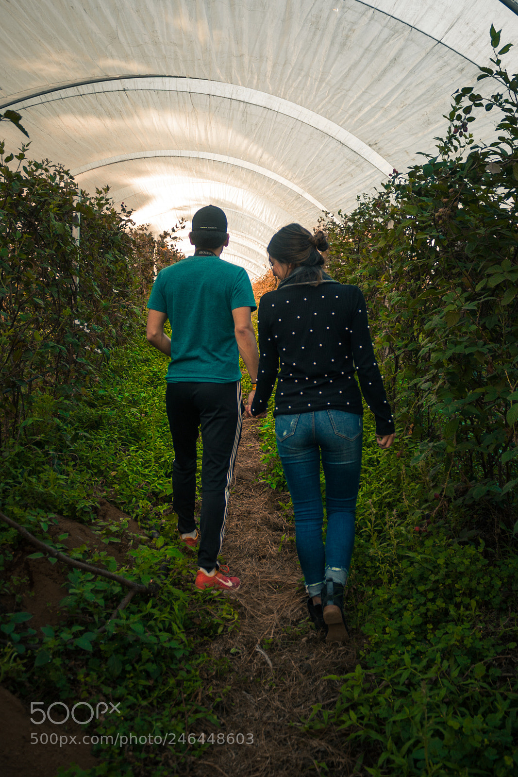 Canon EOS 40D sample photo. Couples in mazamitla photography