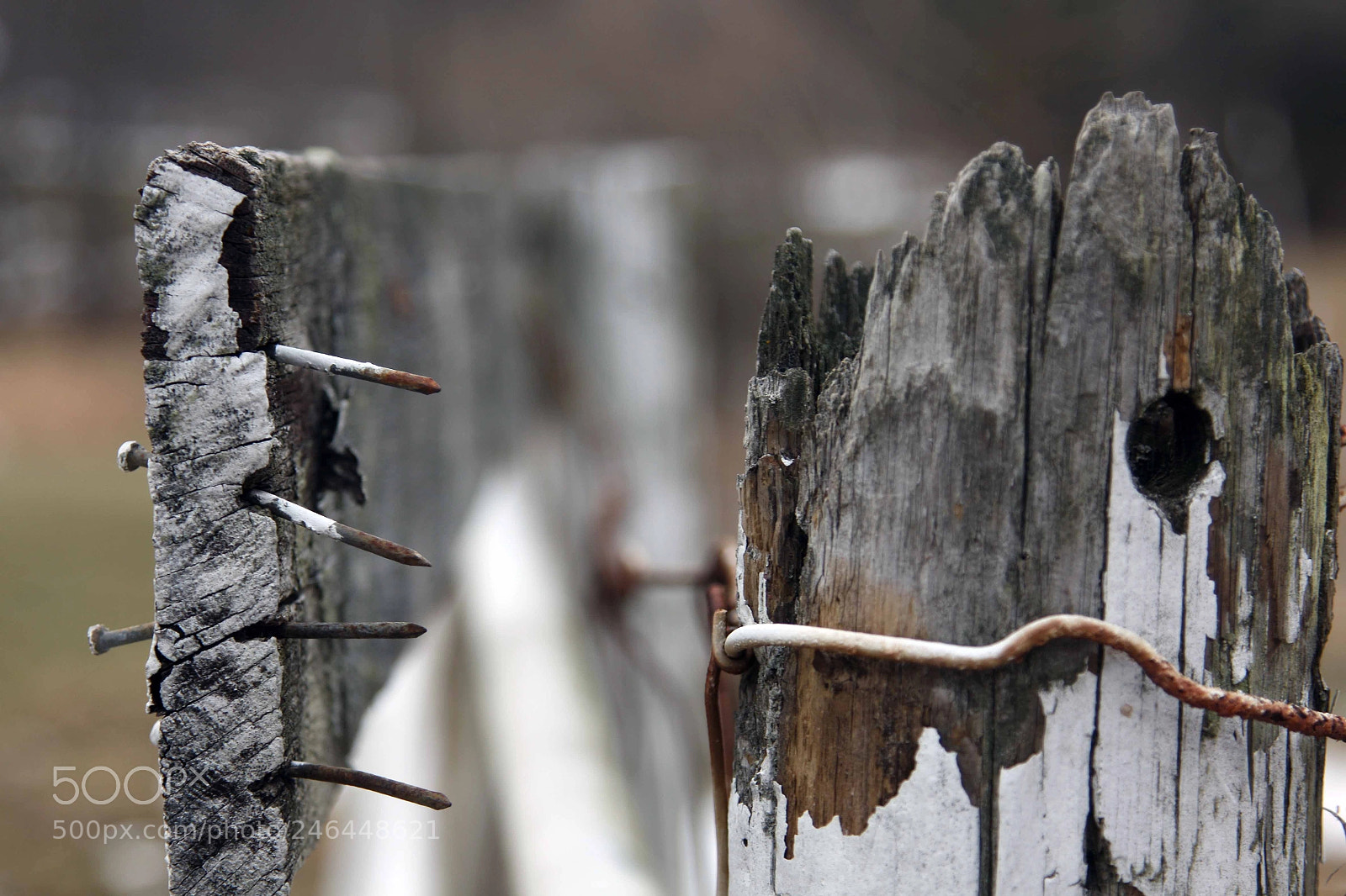 Canon EOS 50D sample photo. Fence post photography