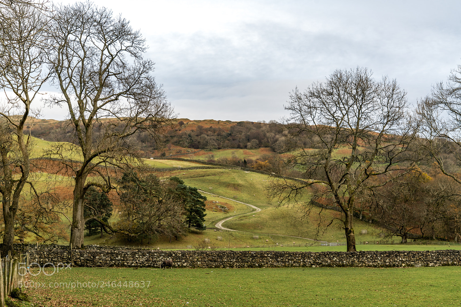 Sony a7R II sample photo. The winding road photography