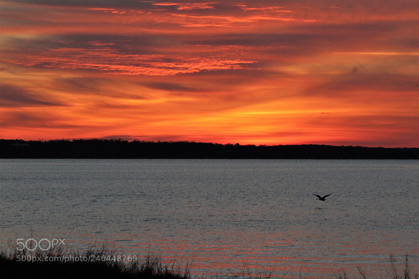 Canon EOS 1200D (EOS Rebel T5 / EOS Kiss X70 / EOS Hi) sample photo. Dawn on the river photography