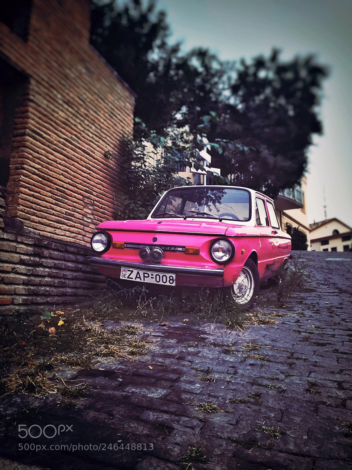 Apple iPhone 6 sample photo. Untitled photography