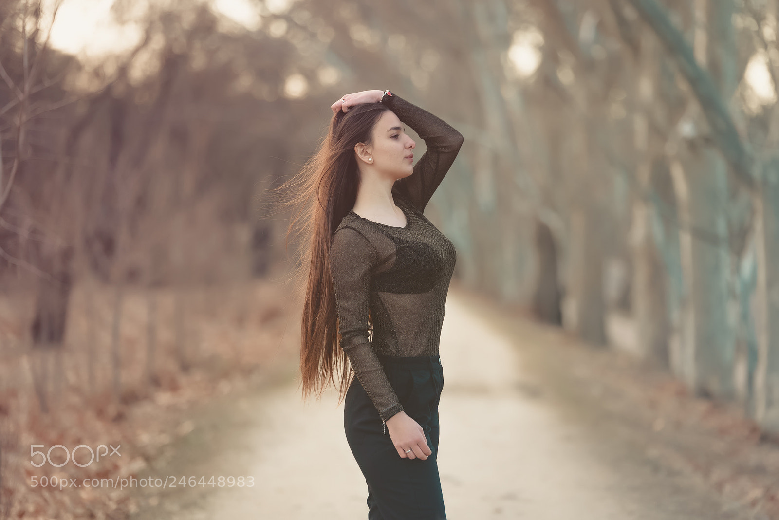 Nikon D610 sample photo. Untitled photography