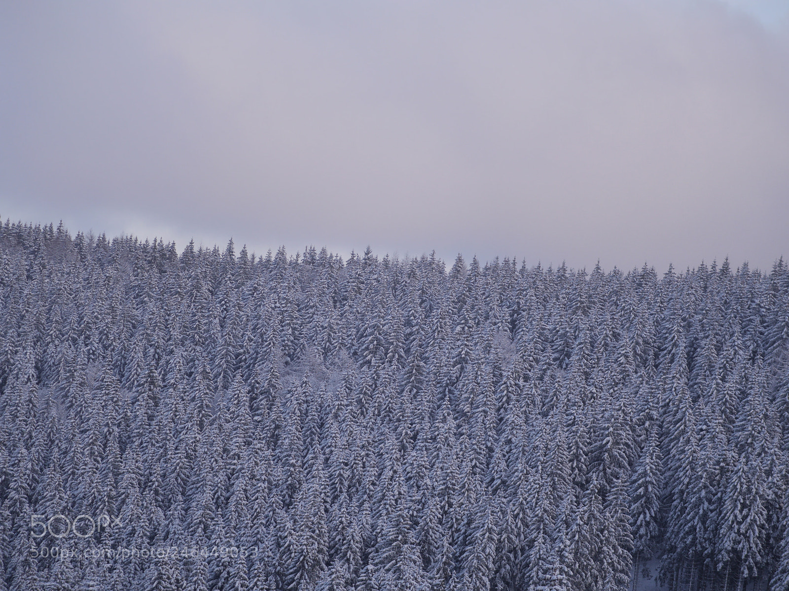 Panasonic Lumix DMC-GH3 sample photo. Winter landscape fir photography
