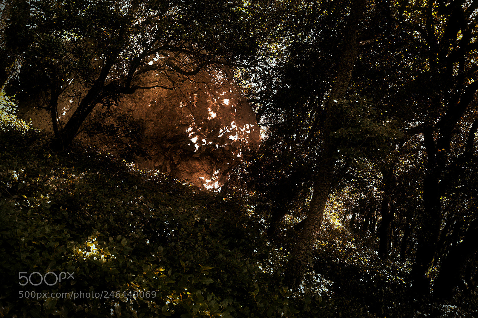 Nikon D5200 sample photo. Mysterious glow photography