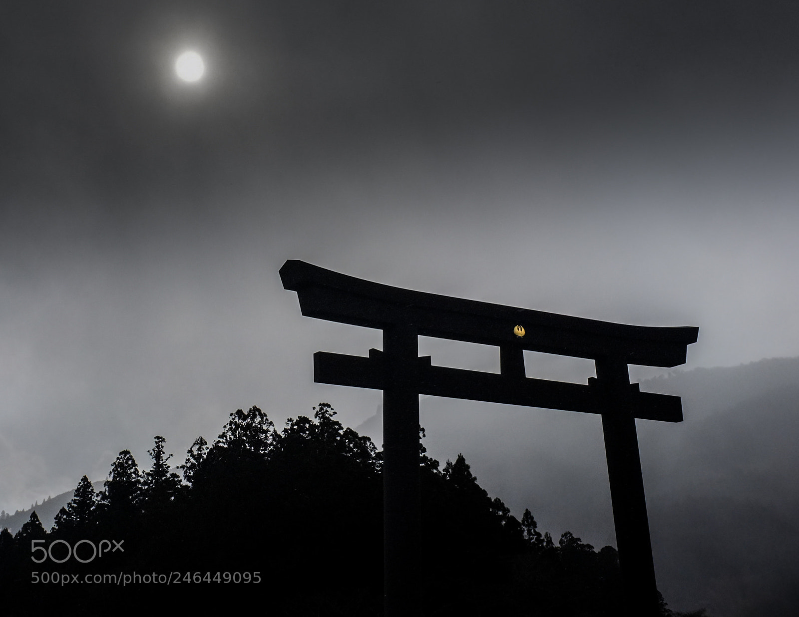 Fujifilm FinePix X100 sample photo. Black torii photography