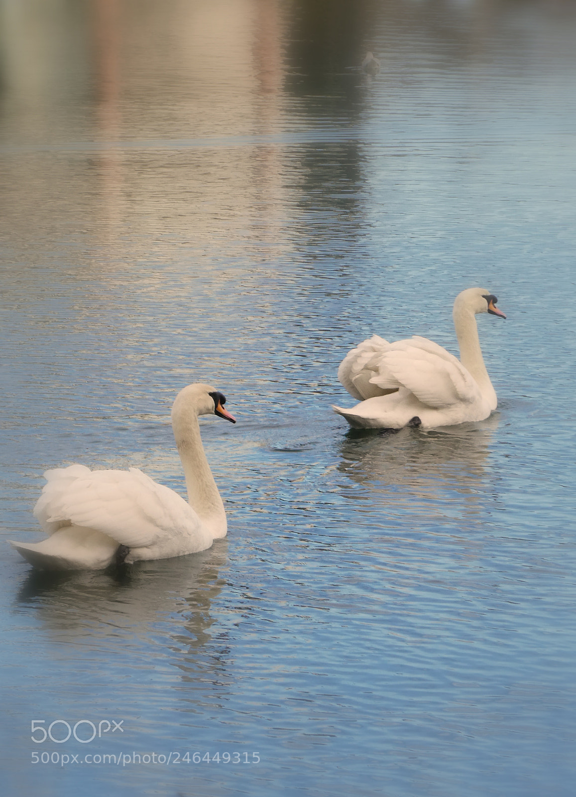 Panasonic DMC-TZ81 sample photo. Formation photography