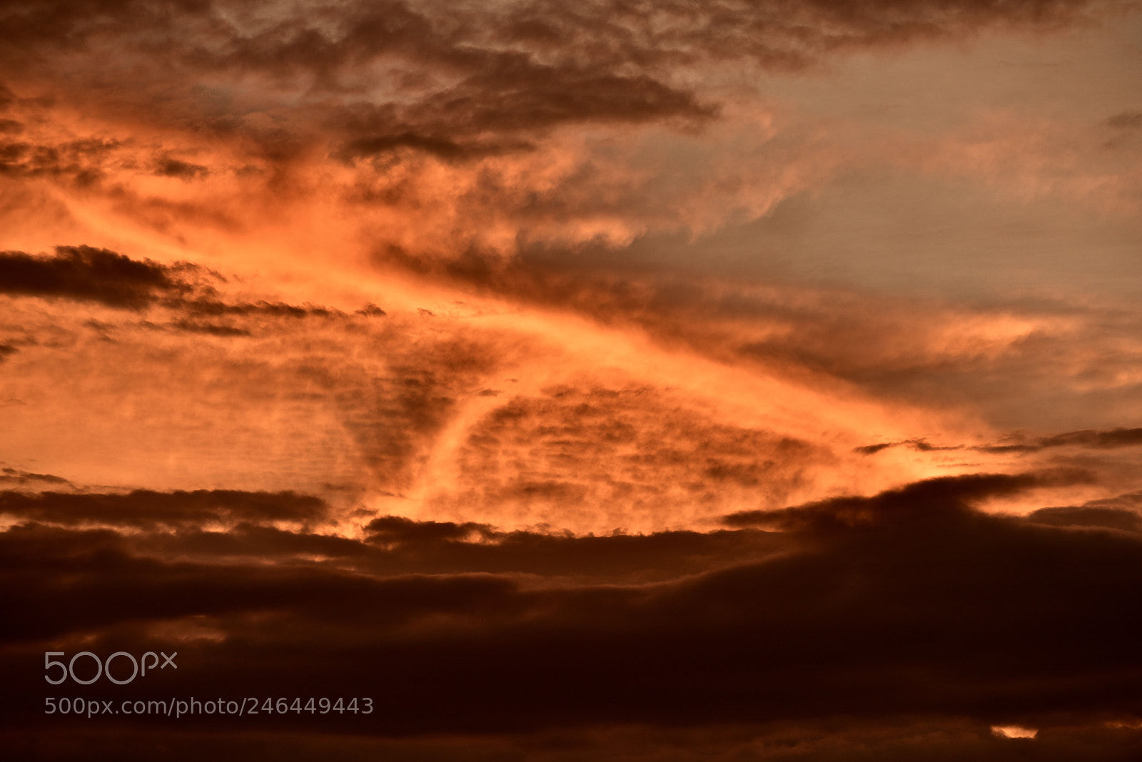 Nikon D810 sample photo. Sky on fire photography