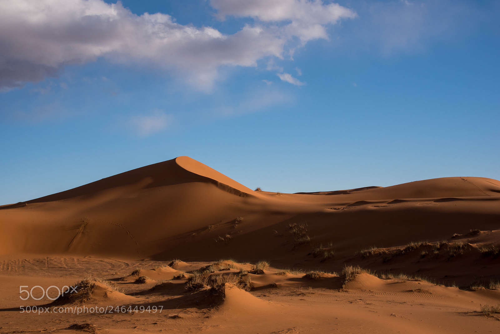 Nikon D750 sample photo. Sahara dunes photography