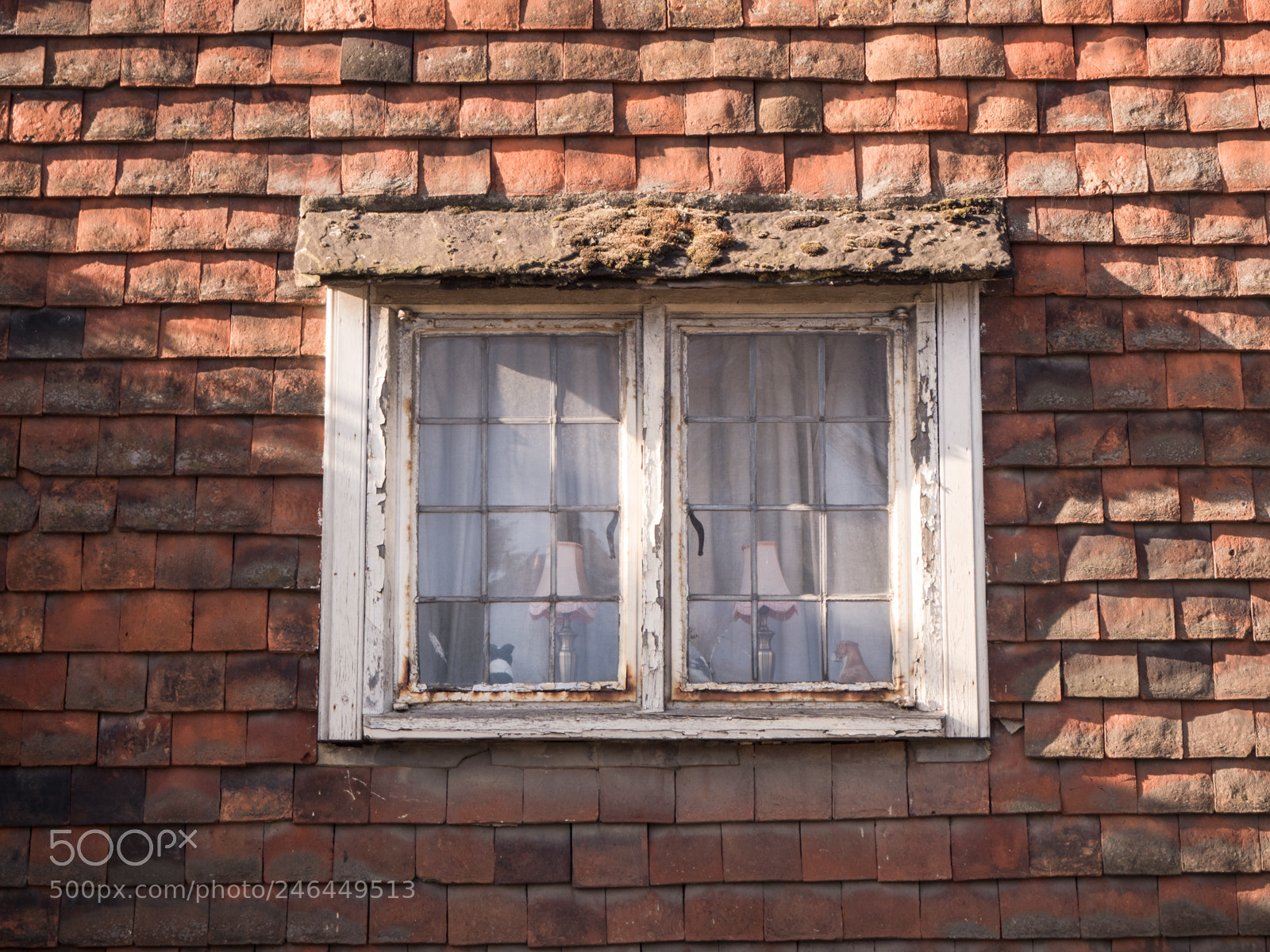 Olympus PEN E-PL8 sample photo. Window photography
